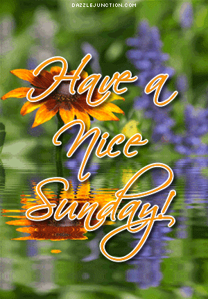 1daef74bd9fe96b7ff53064b3cfd9953_web_01