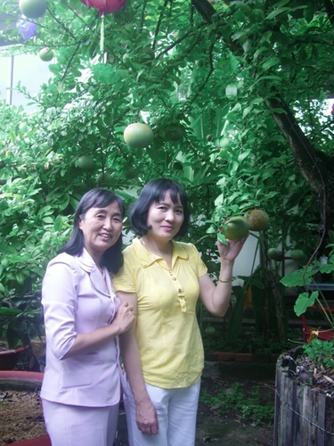 cimg1820_500 cimg1820_500