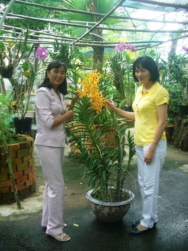 cimg1824_500 cimg1824_500