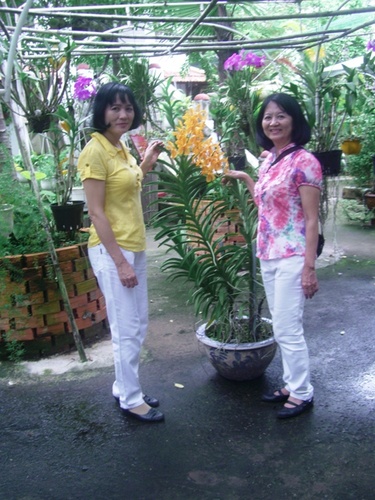 cimg1827_500 cimg1827_500