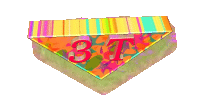 3T