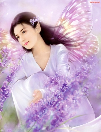 478cc54d_6707_nguoi_dep_030hr1_500