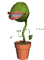 edtrap02