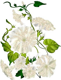 4ab6e928_6ecc999f_new0521