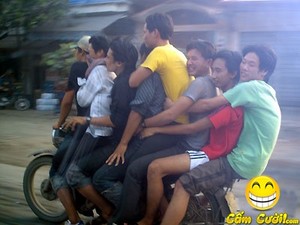 Chi_co_the_co_o_viet_nam.jpeg