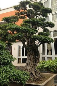 2013_05_10_co_thu.jpg