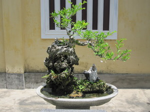 IMG_0807.jpg