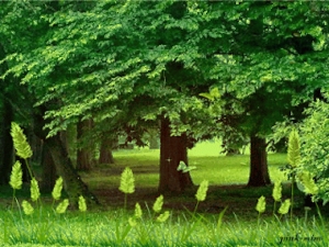 Anhdongdepchomaytinh_400x100.gif