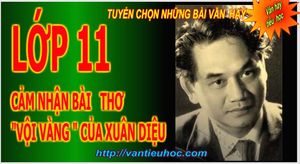 Vantieuhoccom__Cam_nhan_bai_tho_voi_vang_cua_xuan_dieu.jpg