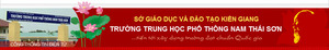 LOGO_MAU_NAM_THAI_SON_HEADER2_violet2.jpg