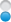 Bullet