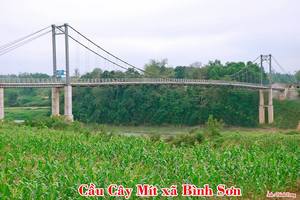 Cau_treo_Cay_Mit.jpg