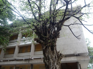 DSC010061.jpg