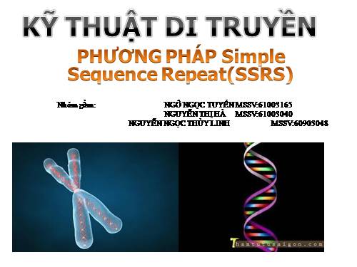 Marker DNA _Microsatellites (Simple Sequence Repeat - SSR) - Sinh học ...