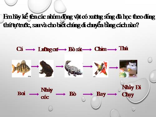 Bài 53. Môi trường sống và sự vận động, di chuyển - Sinh học 7 - lê ...
