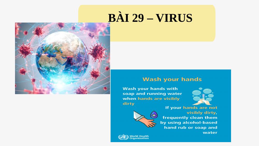KNTT - Bài 29. Virus - KHTN 6 - Nguyễn Thị Thùy Dương - Thư viện Bài ...