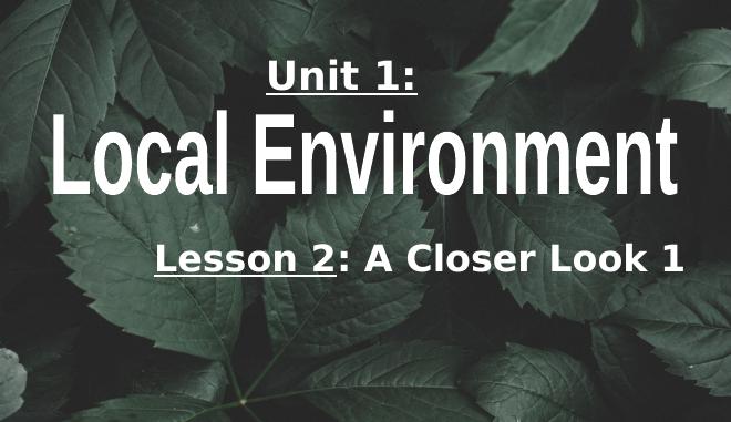 Unit 1. Local environment. Lesson 2. A closer look 1 - Tiếng Anh 9 ...